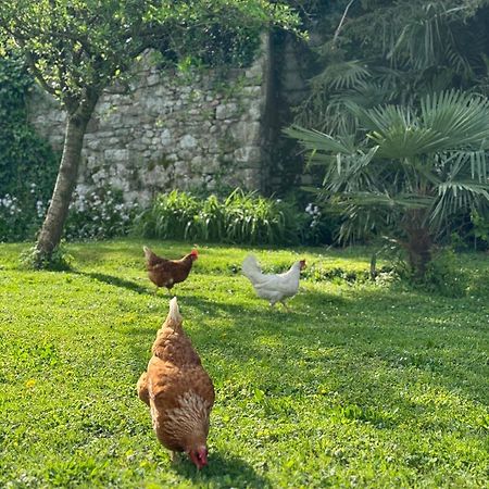 B&B Antico Fienile Γκορίτσια Εξωτερικό φωτογραφία