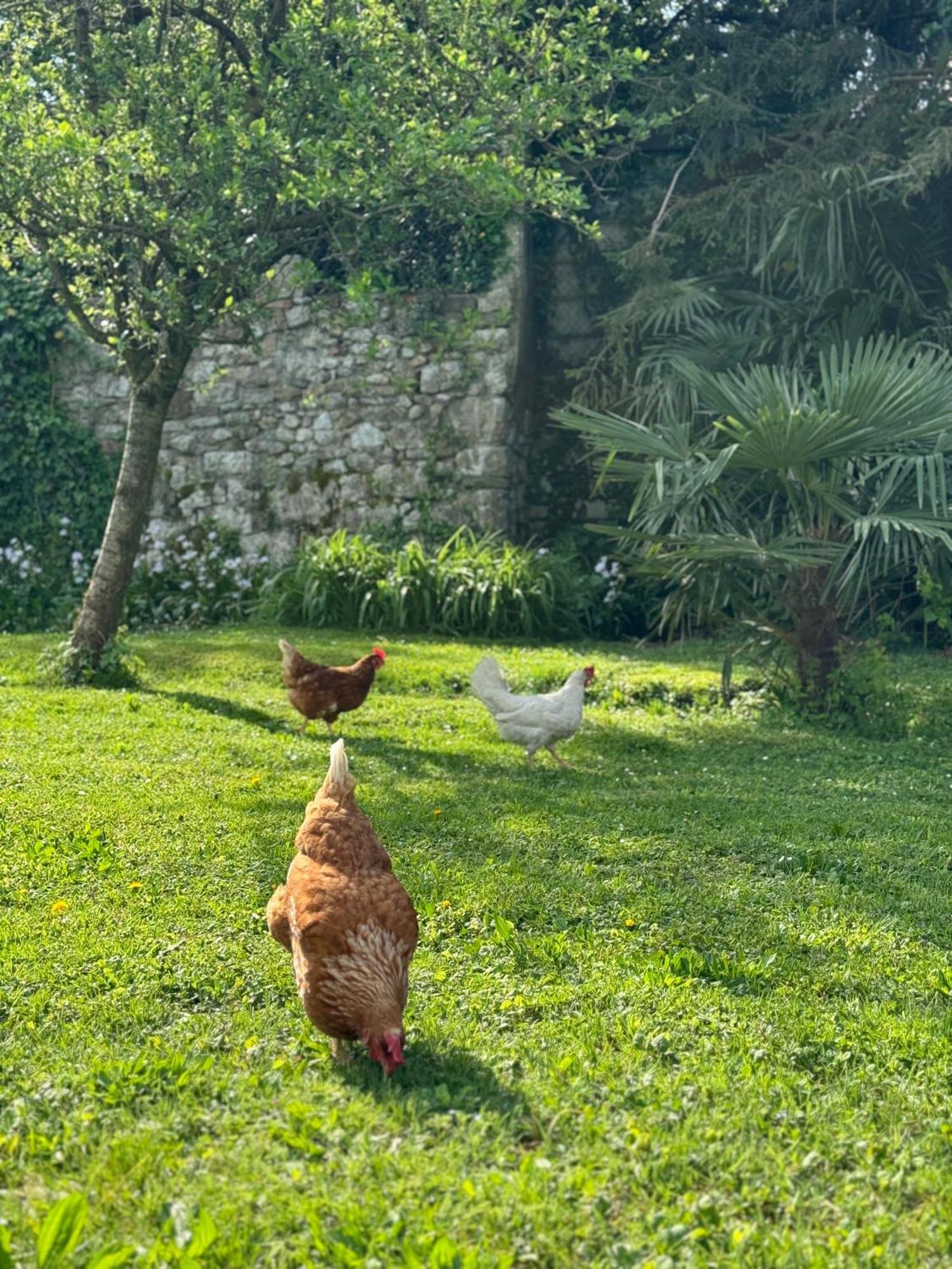 B&B Antico Fienile Γκορίτσια Εξωτερικό φωτογραφία